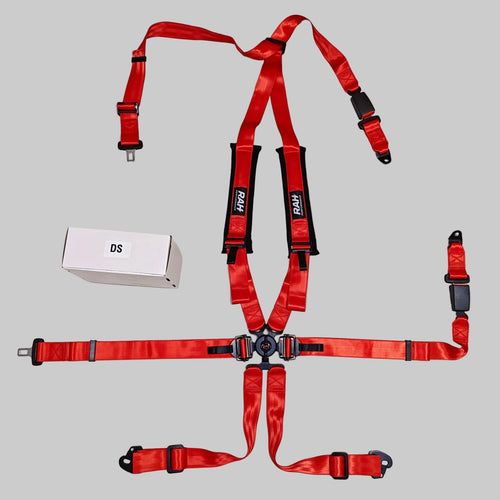 Red car safety harness on a white background